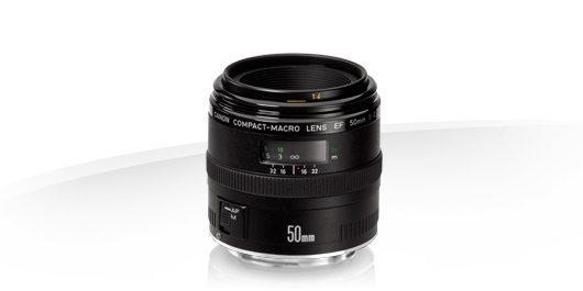 EF 50mm f2.5 Compact Macro